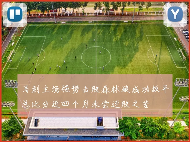 马刺主场强势击败森林狼成功扳平总比分近四个月未尝连败之苦