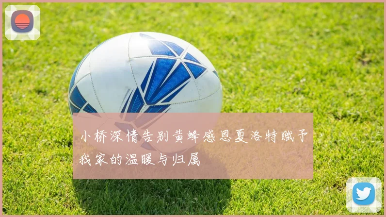 小桥深情告别黄蜂感恩夏洛特赋予我家的温暖与归属